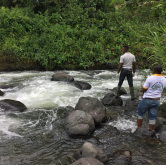 Hunting for blackfly larvae in SW Cameroon (Louise Hamill/COUNTDOWN LSTM)
